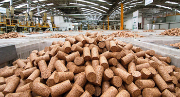 Cork Industry