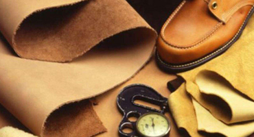 Footwear and Leather Industry